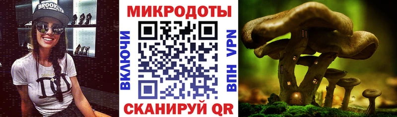 Псилоцибиновые грибы ЛСД  Купить закладки  Котово 
