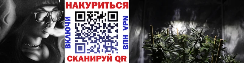 Купить Котово Каннабис конопля
